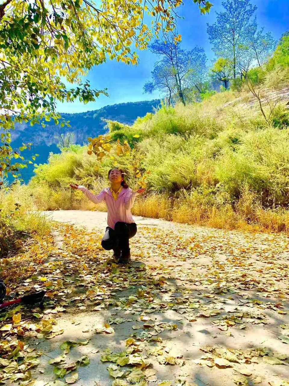 mmexport1567854031716