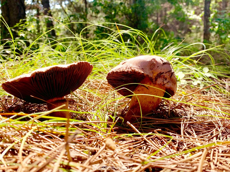 mmexport1567854228471