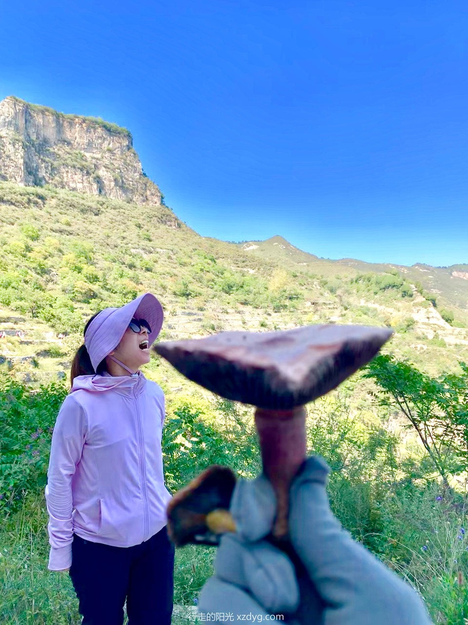 mmexport1567854238870