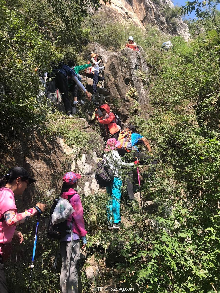 mmexport1567859691975