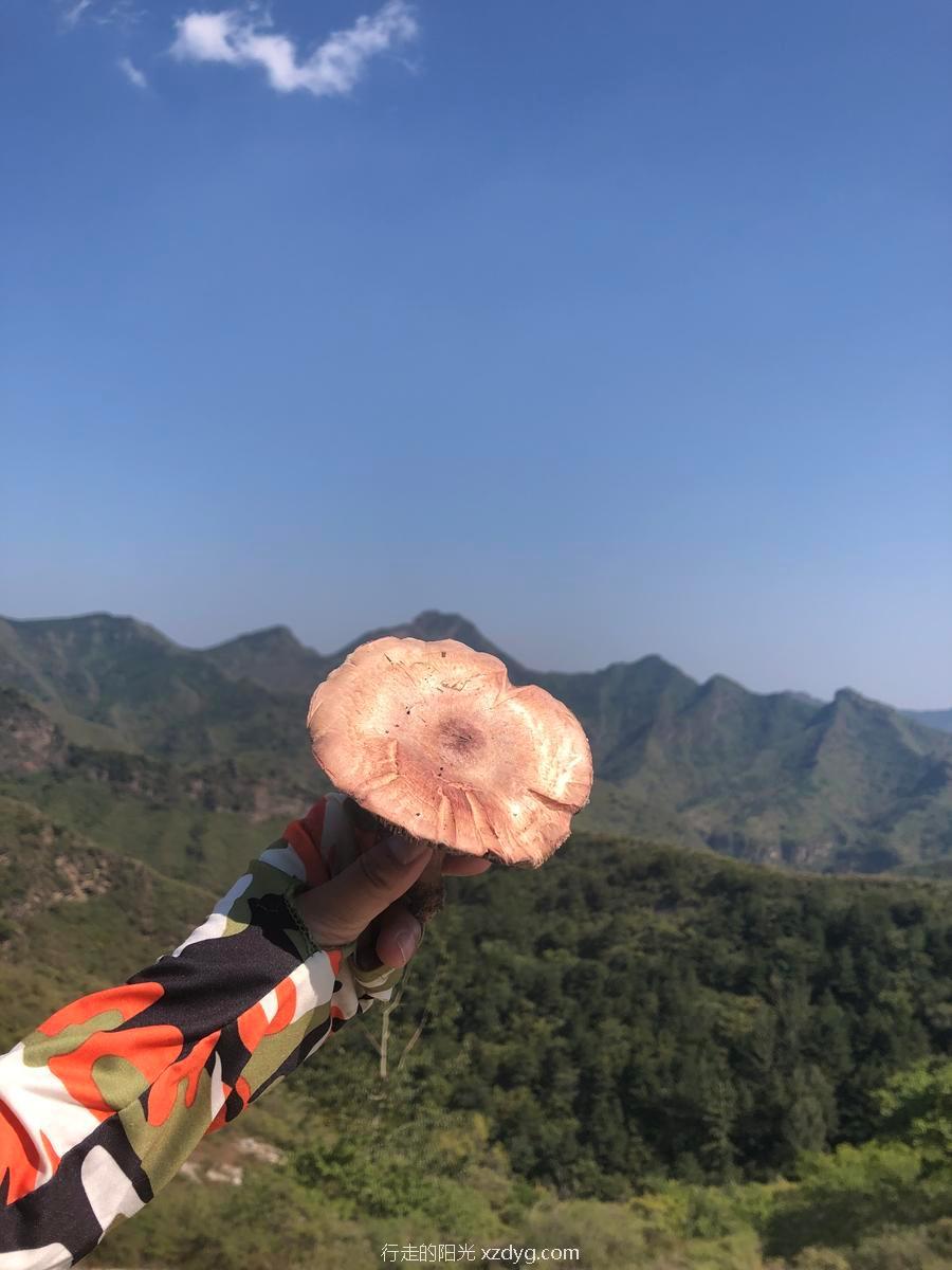 mmexport1567854384725