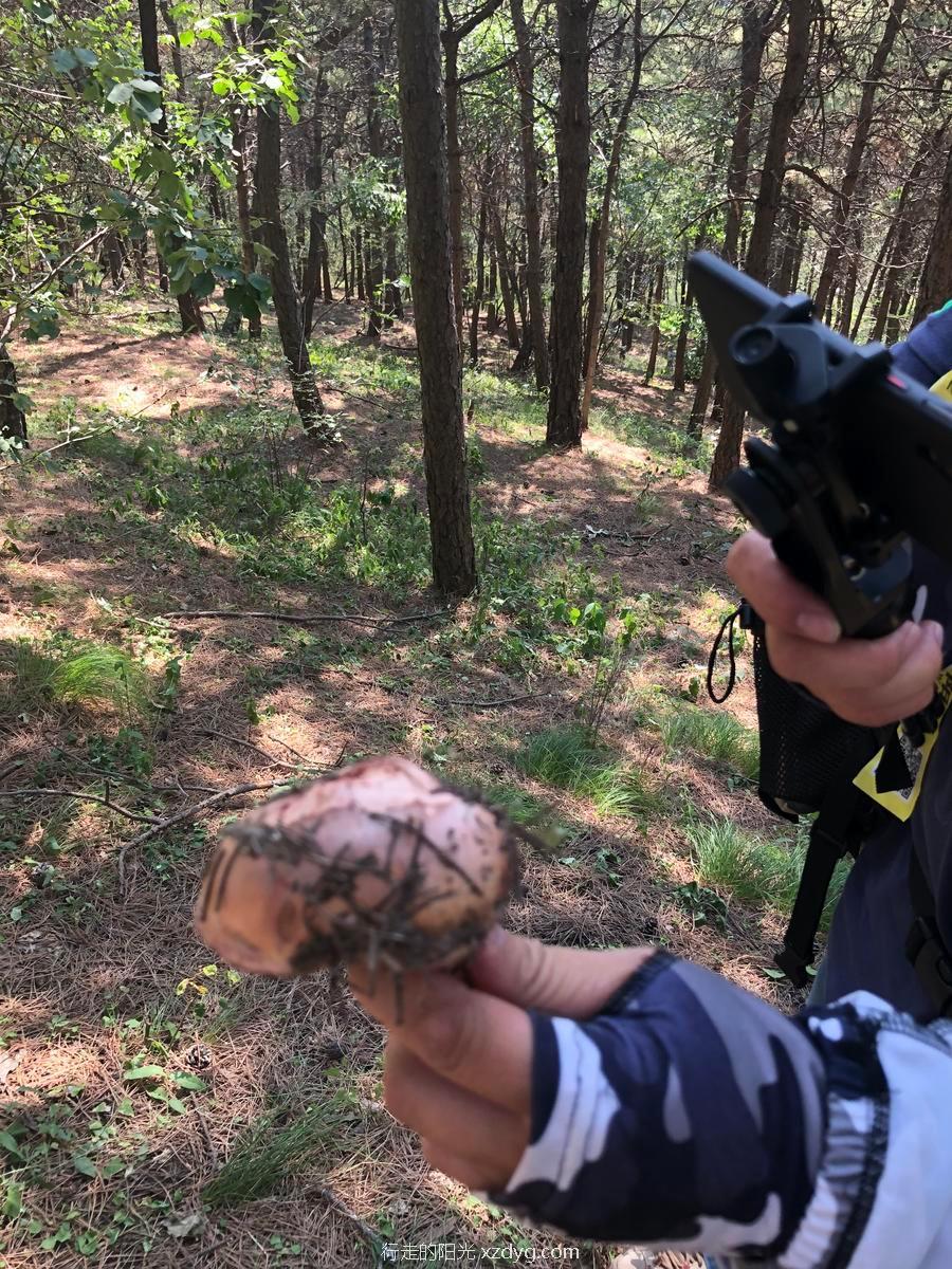 mmexport1567854364626