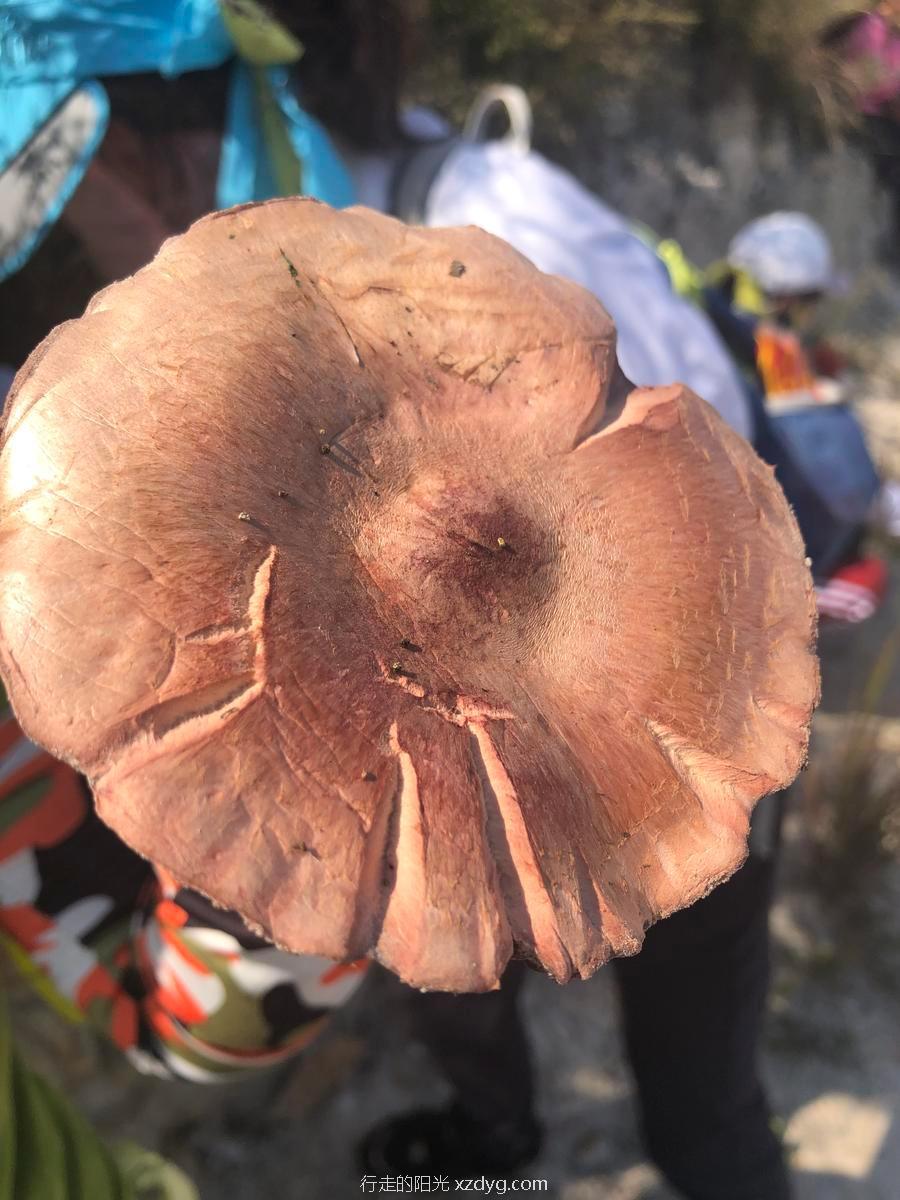 mmexport1567854407157