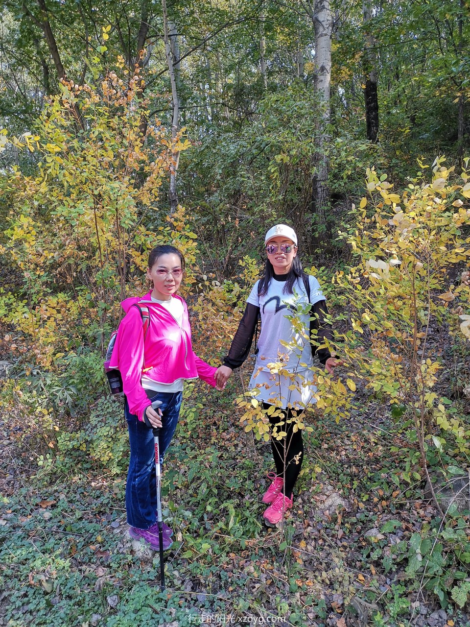 mmexport1570068682209