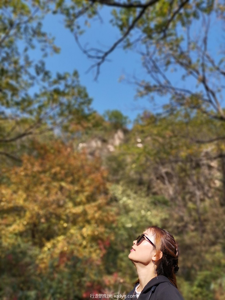 mmexport1570068807543