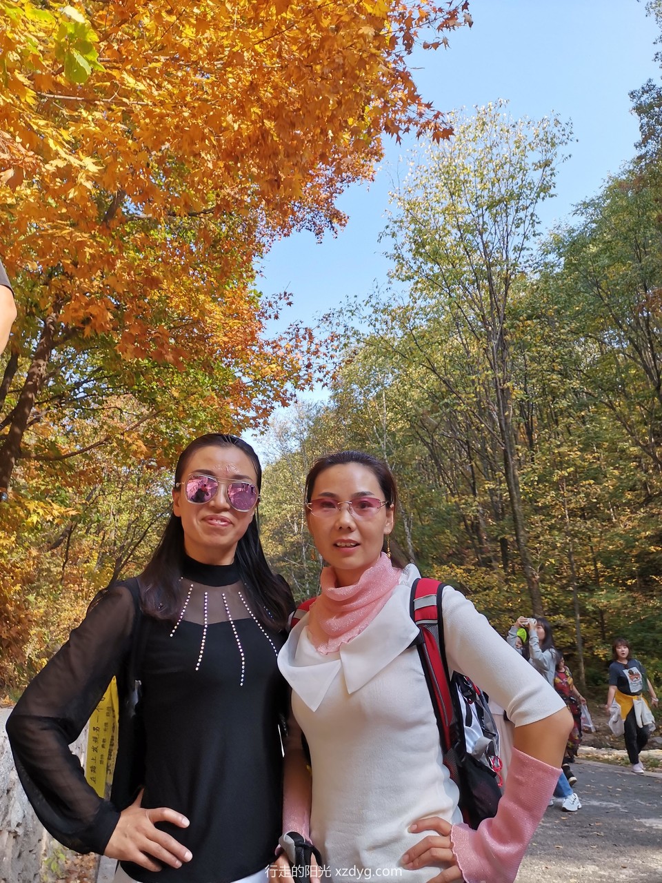 mmexport1570068934728