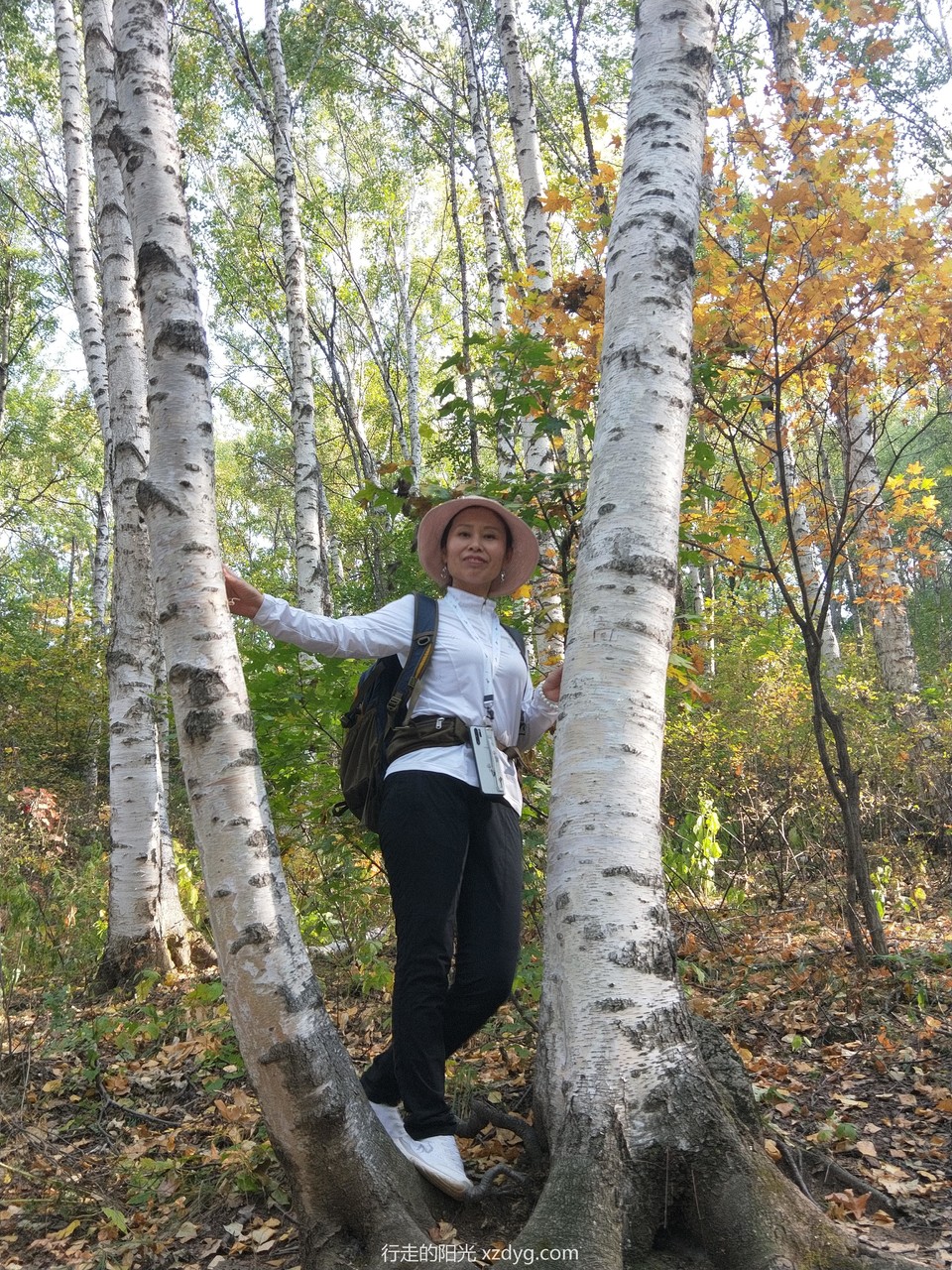 mmexport1570068976486