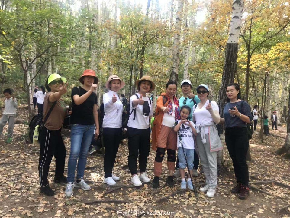 mmexport1570072788261