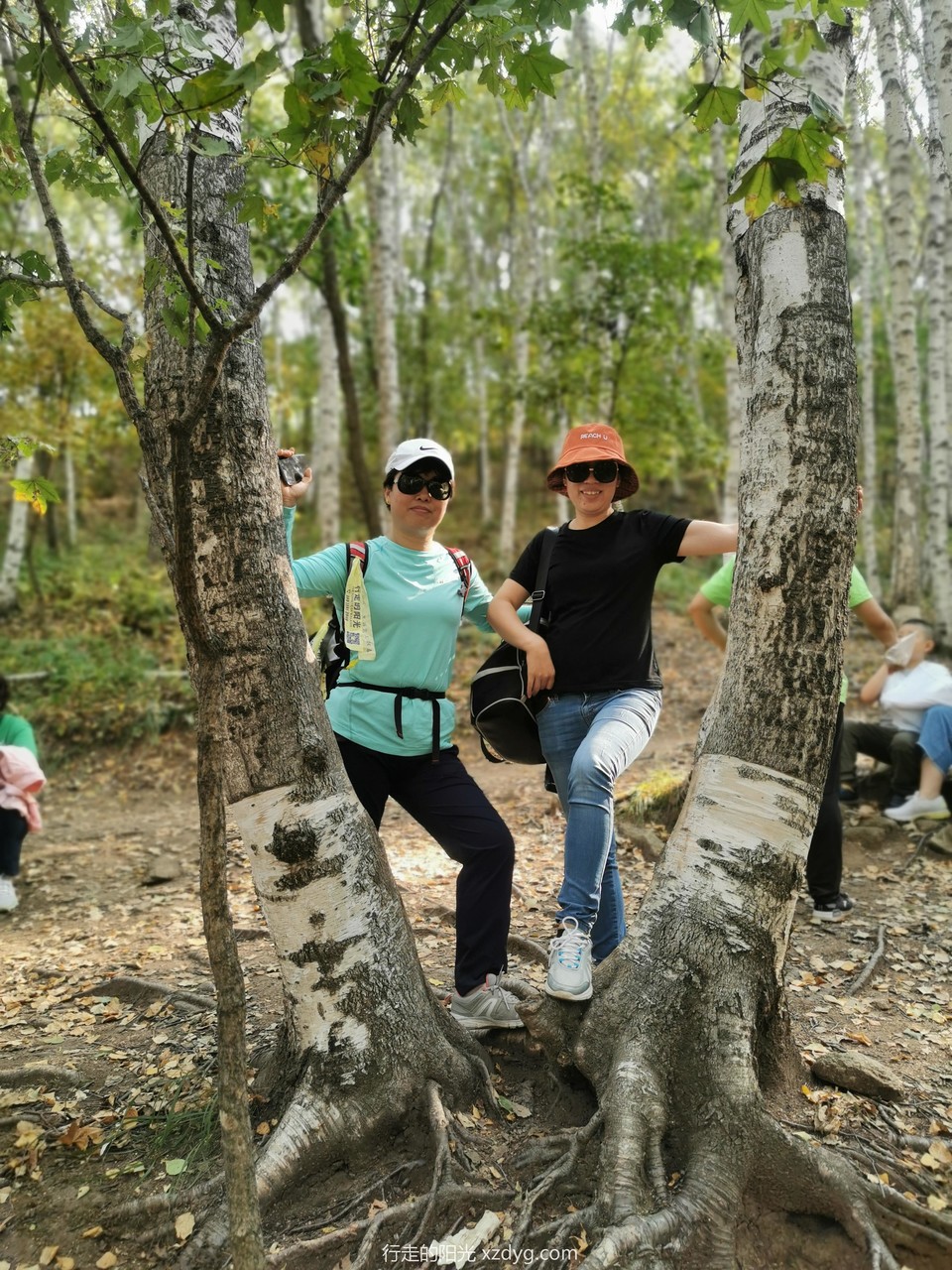 mmexport1570076625686