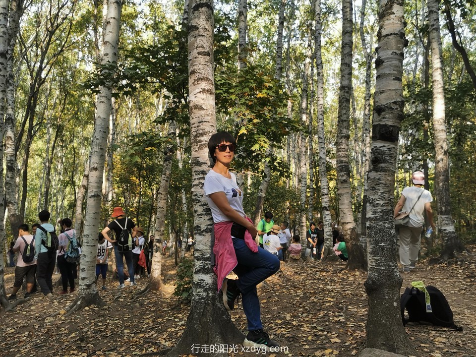 mmexport1570076732686