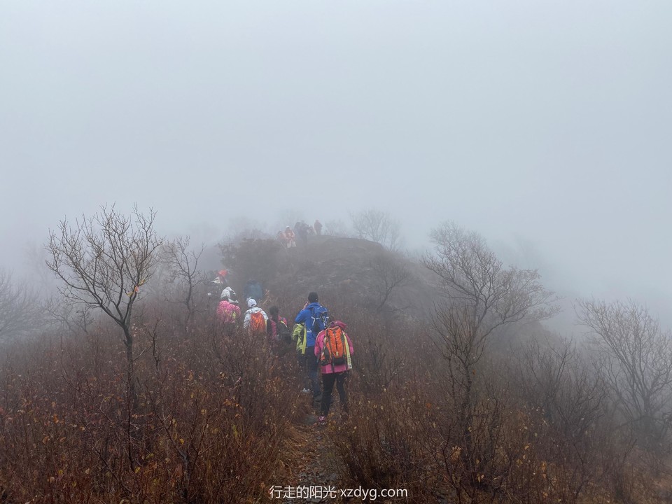 mmexport1572774629382