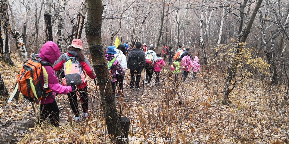 mmexport1572776619077