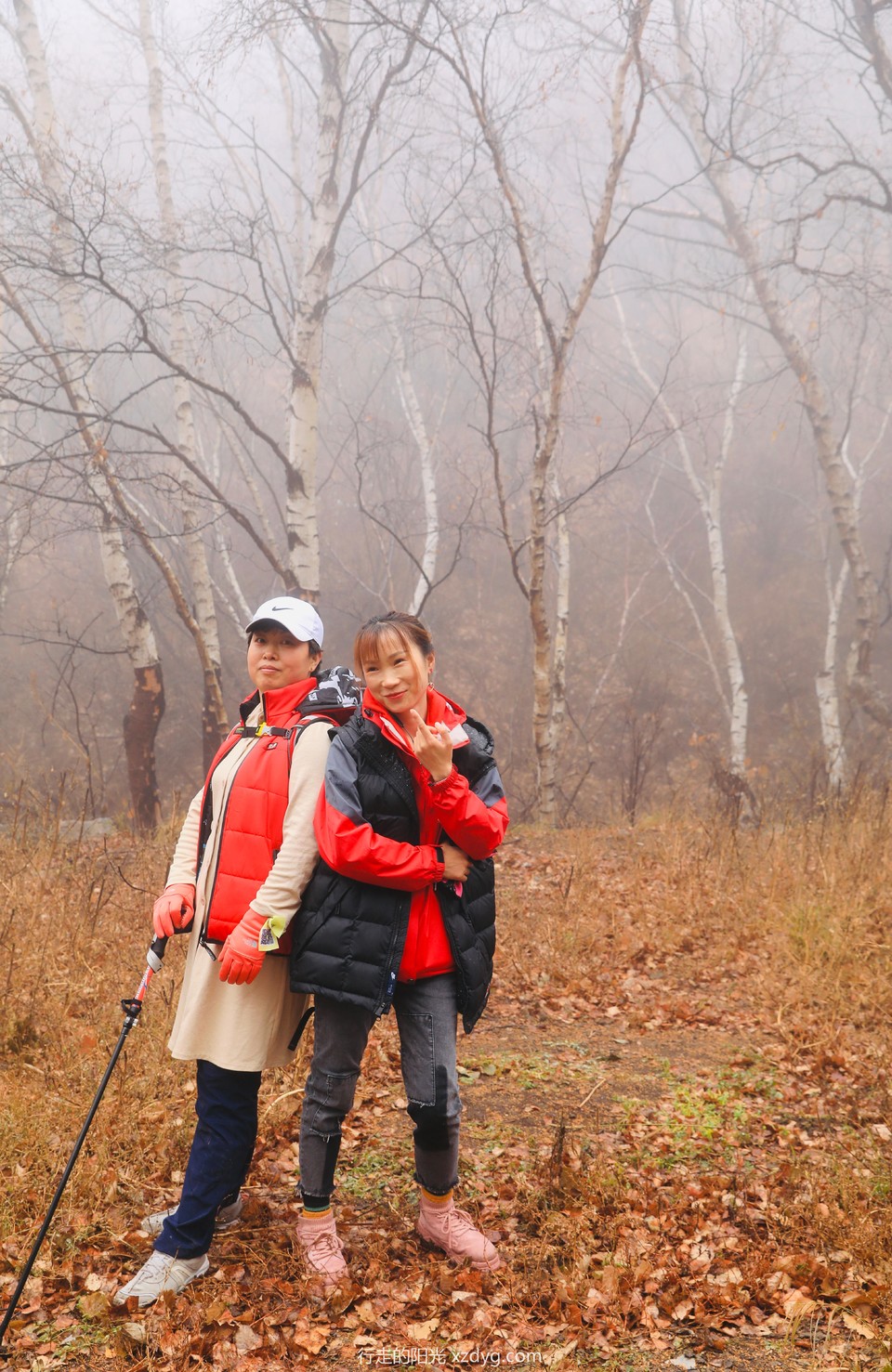 mmexport1572791690414