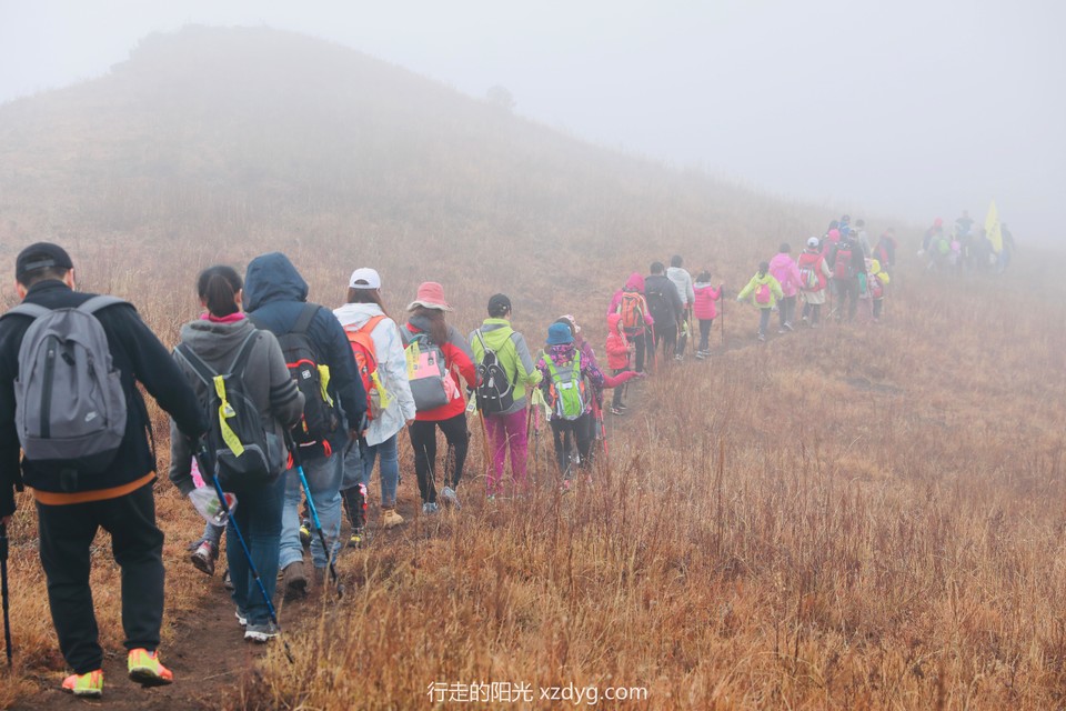 mmexport1572792020592