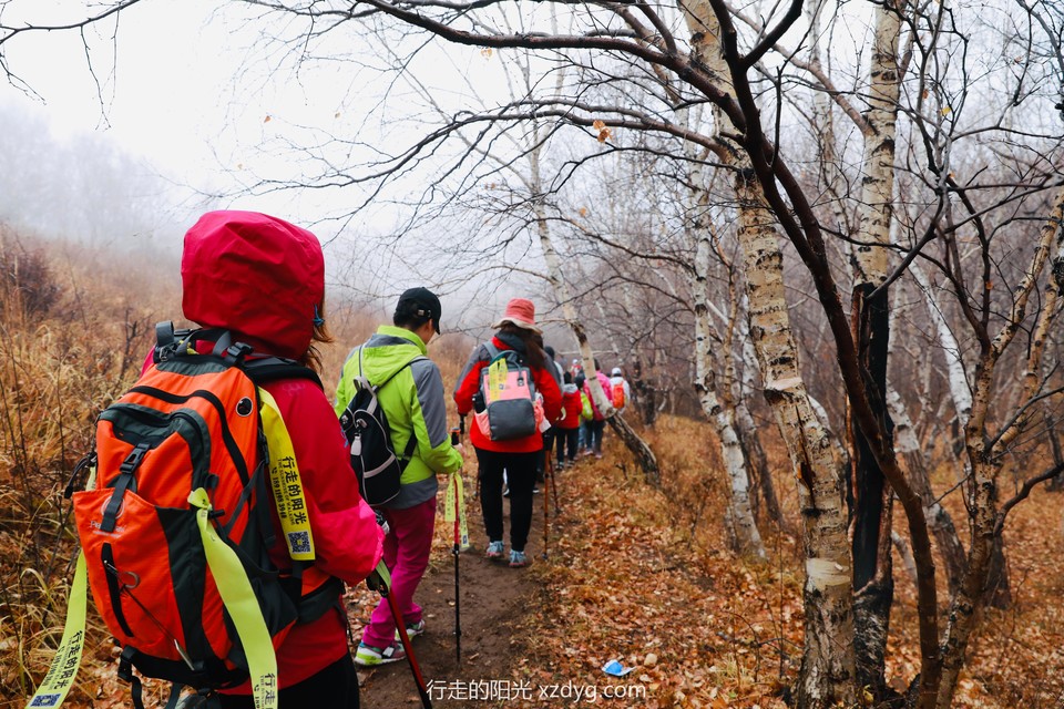 mmexport1572792041942