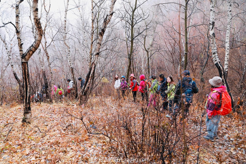 mmexport1572792108129