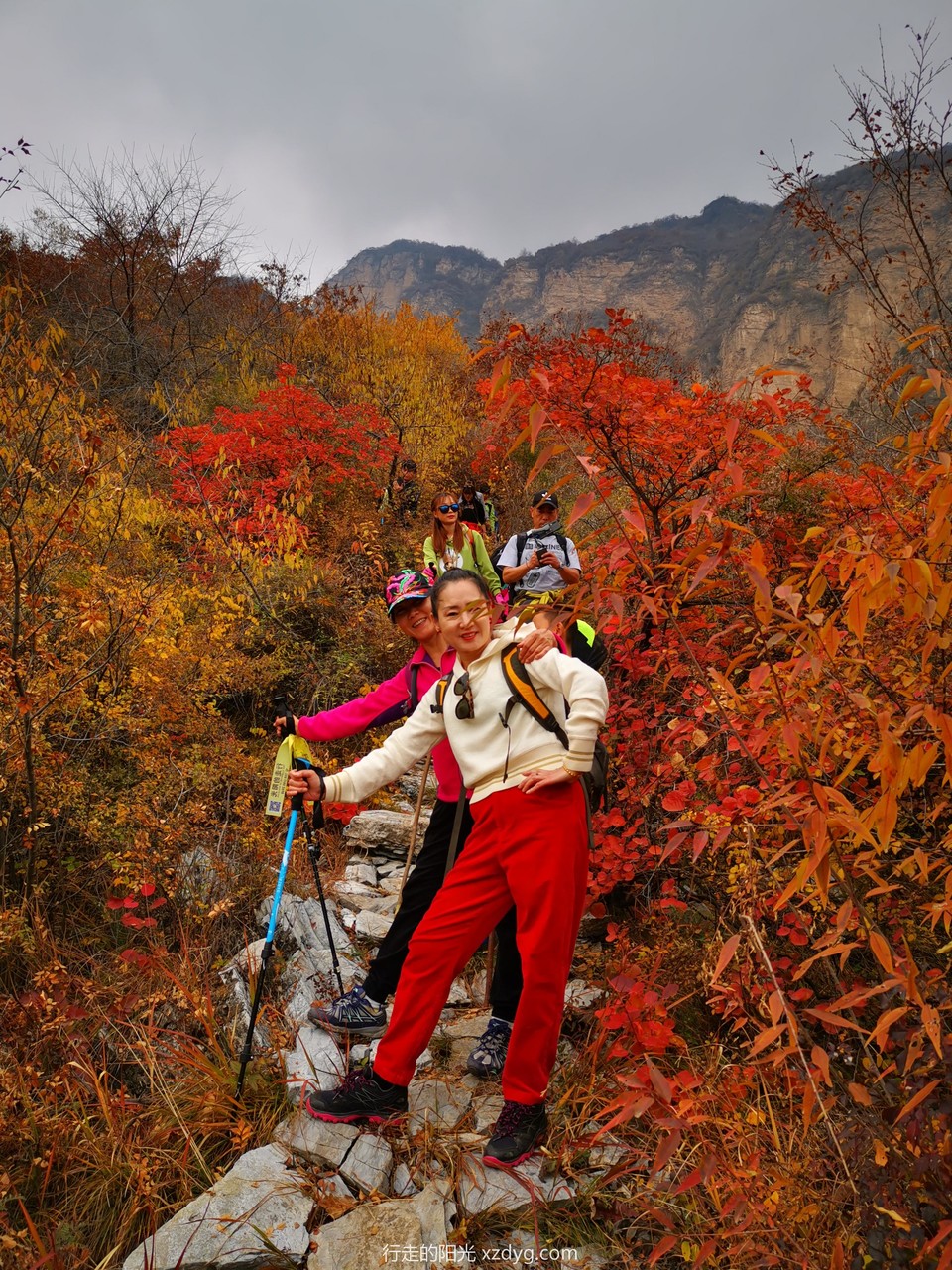 mmexport1572846101211