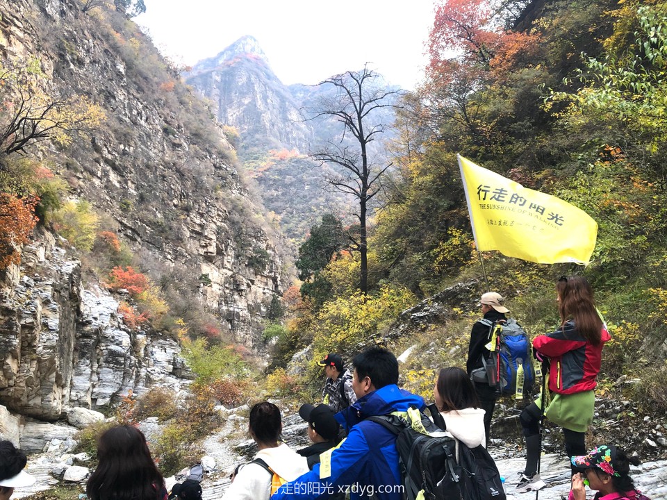 mmexport1572846473686