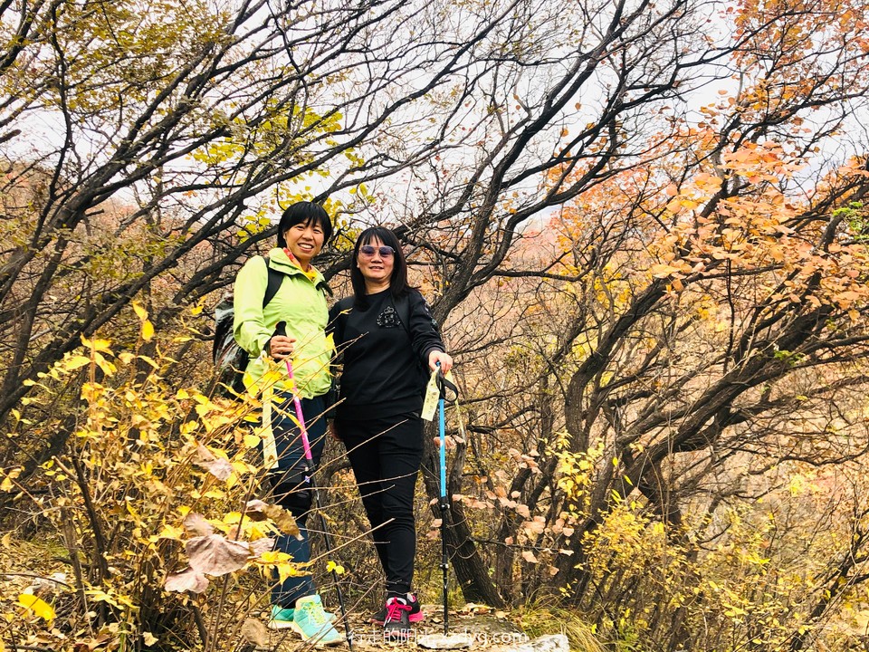 mmexport1572846543410