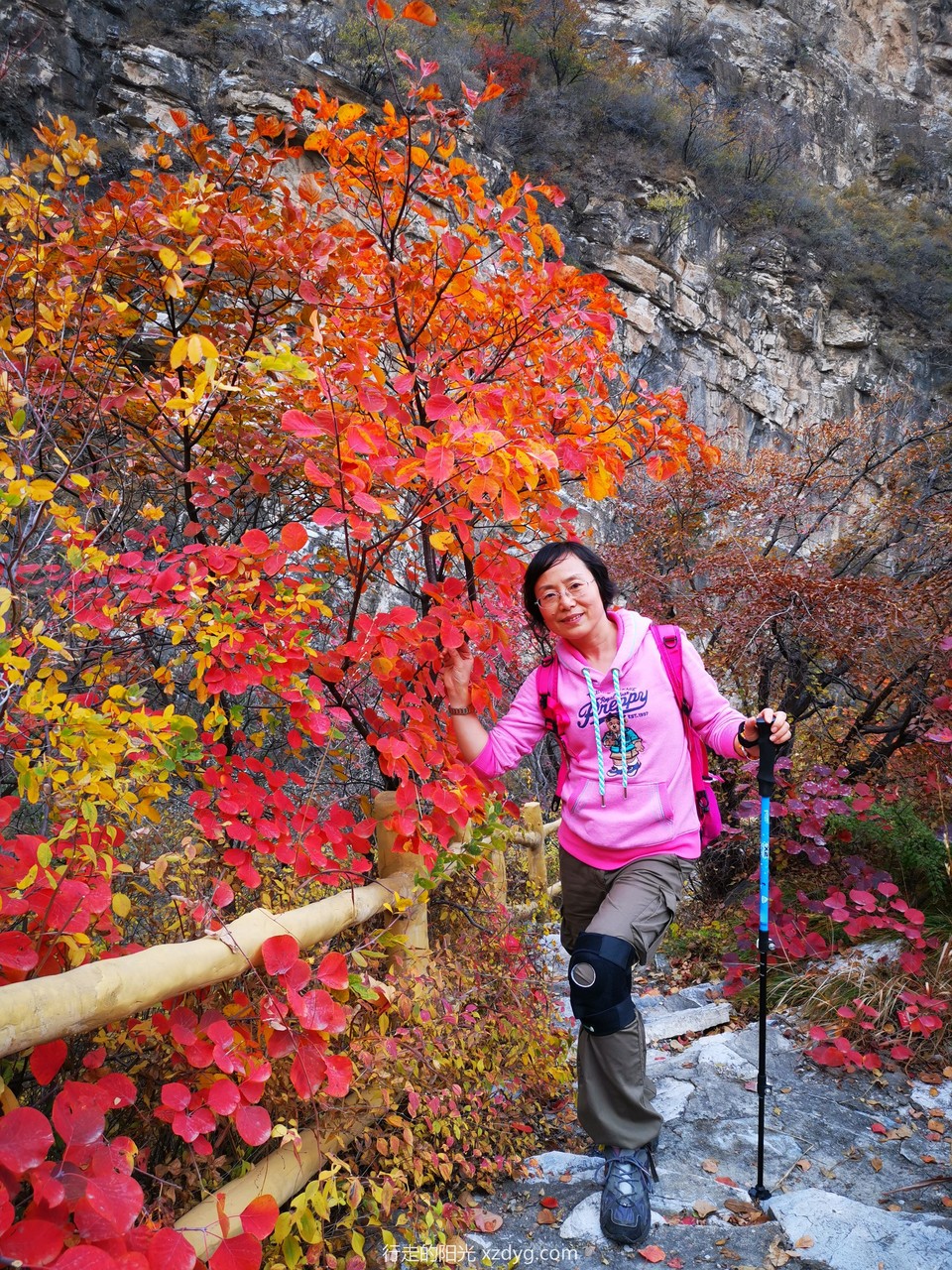 mmexport1572846702764