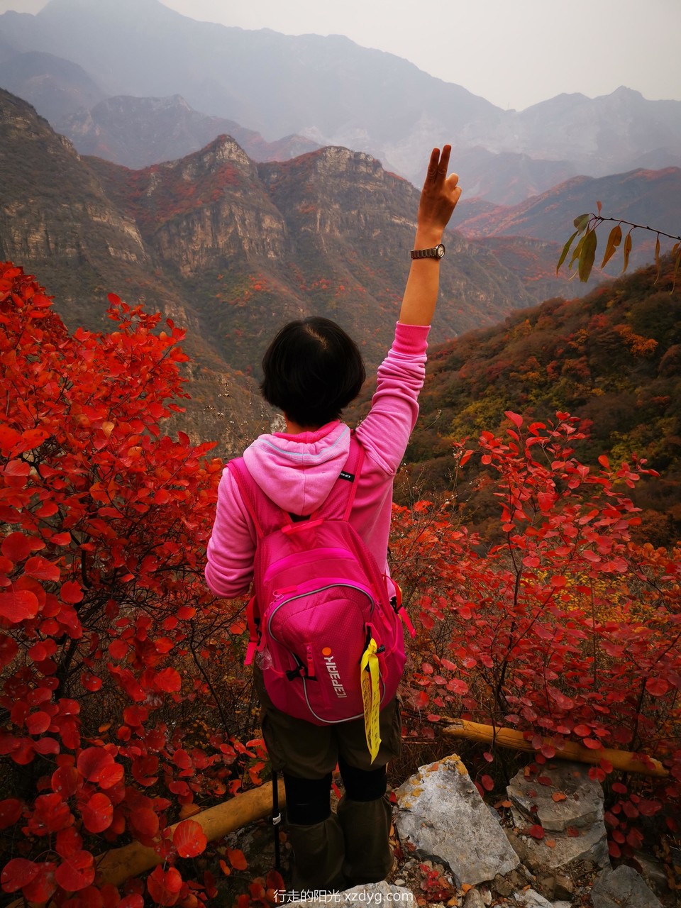 mmexport1572846817412