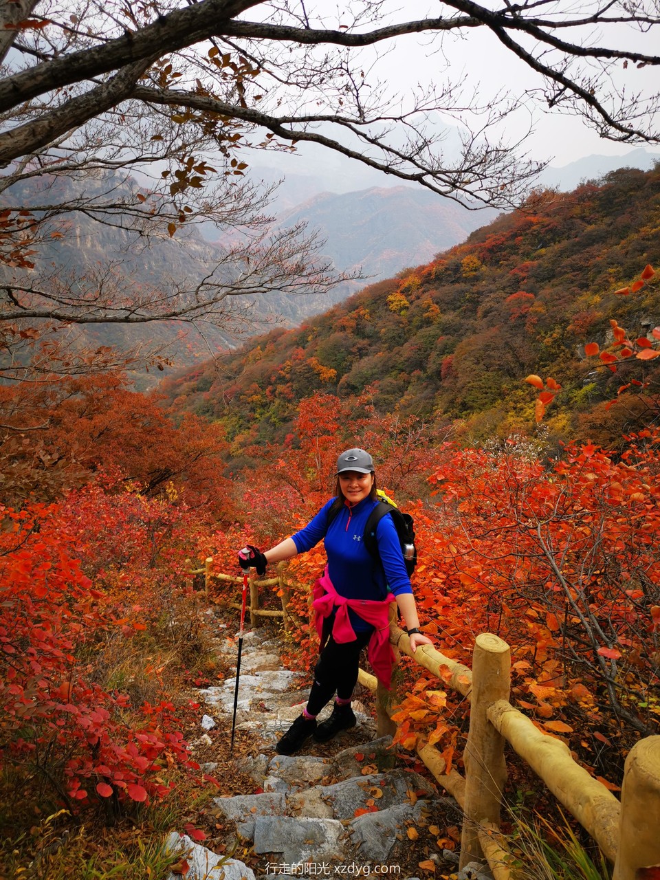 mmexport1572846847931