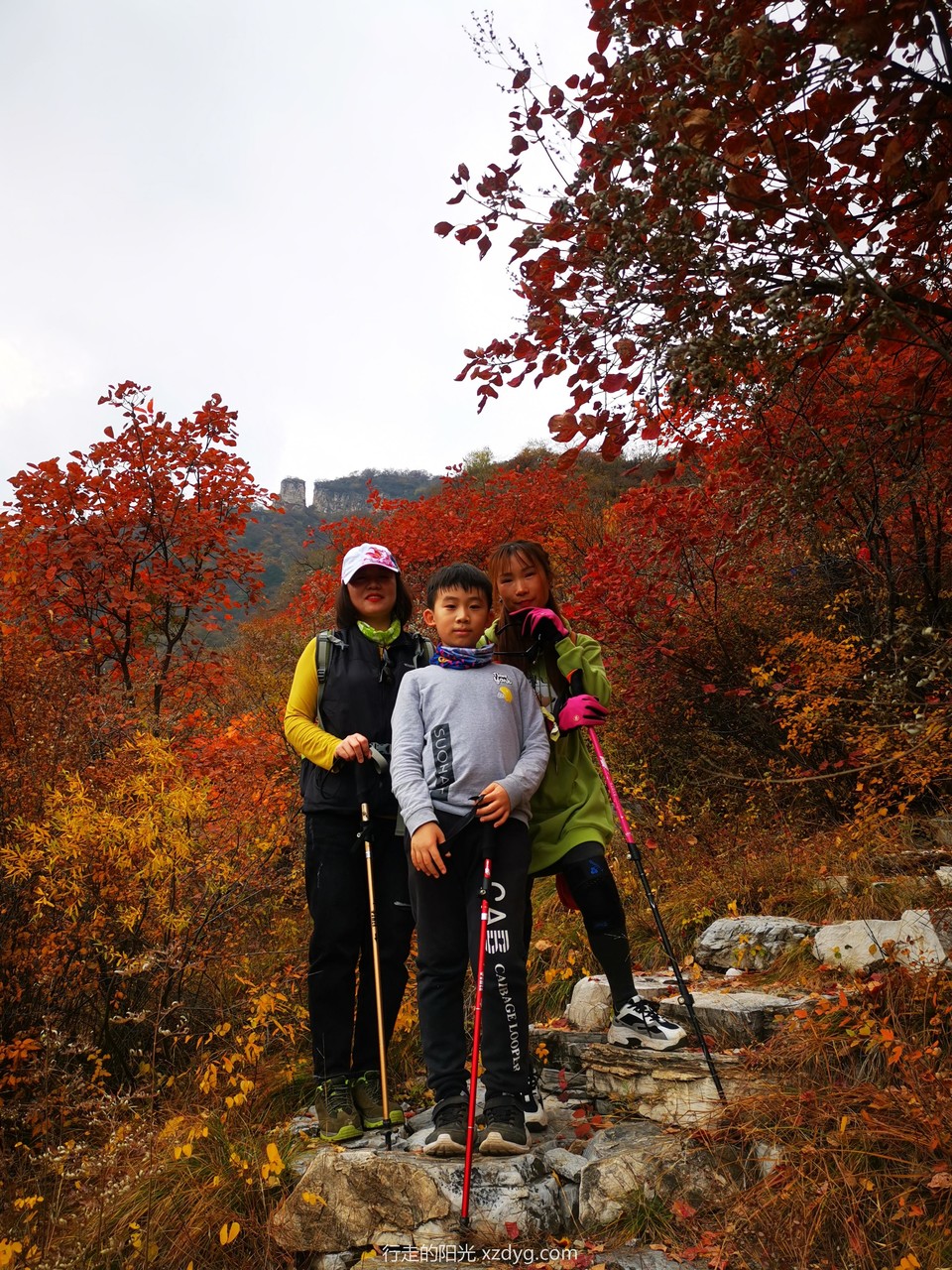 mmexport1572846888181