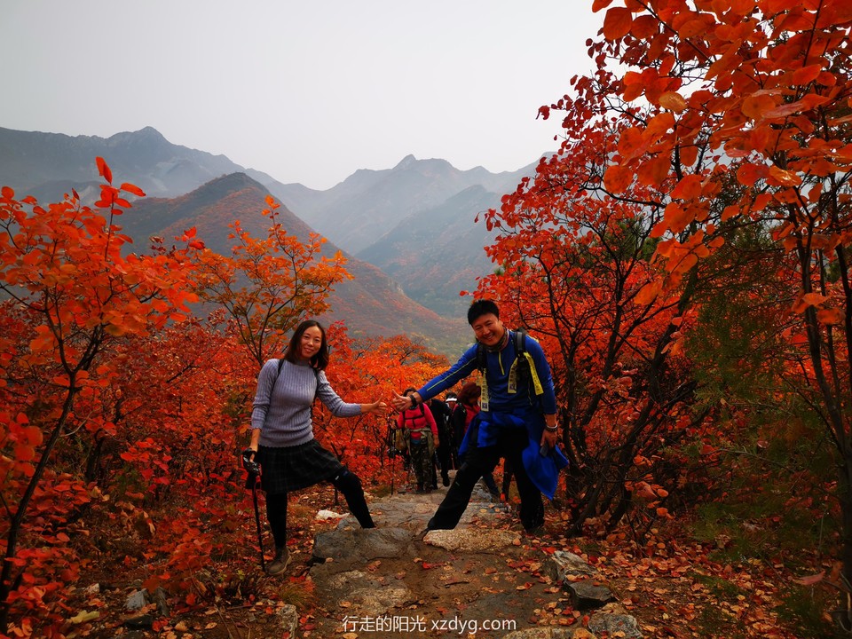 mmexport1572846930639