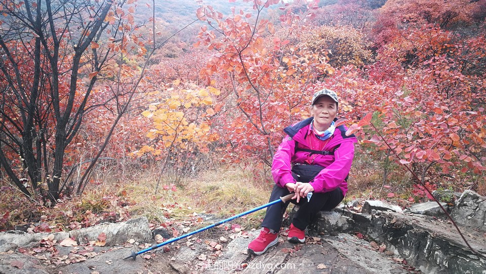 mmexport1572846990914