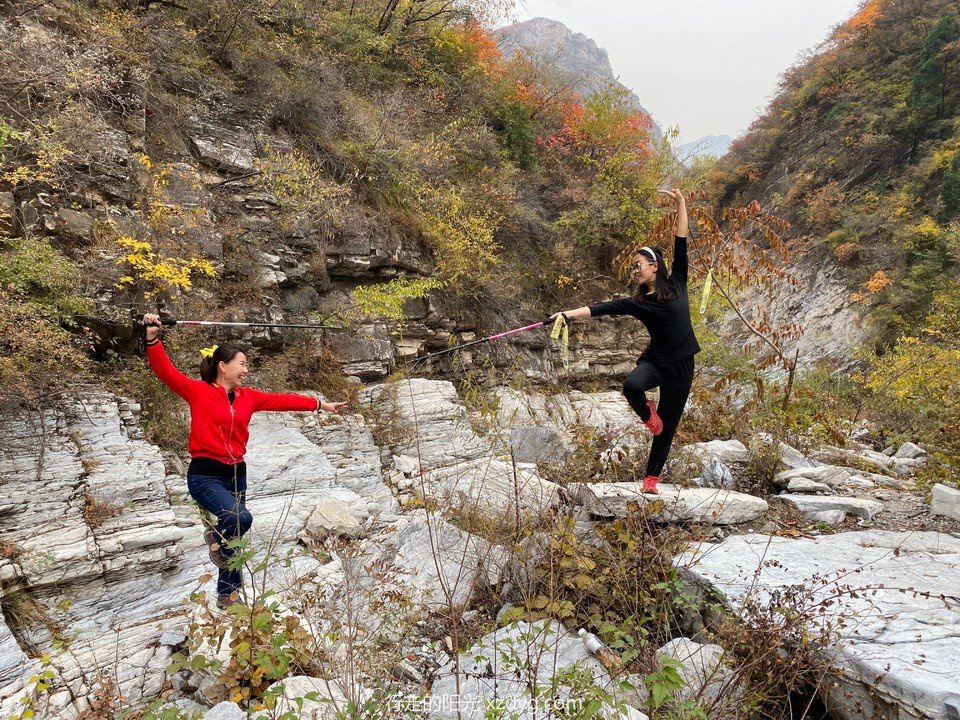 mmexport1572847361753