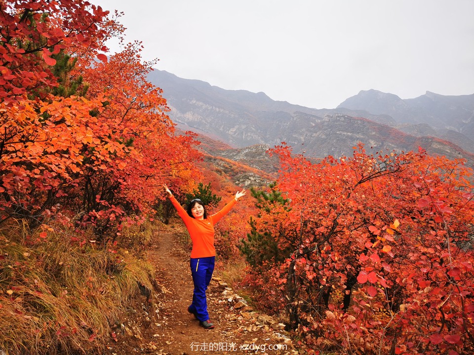 mmexport1572847437925