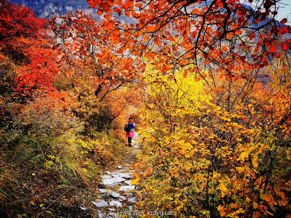 mmexport1572847468033