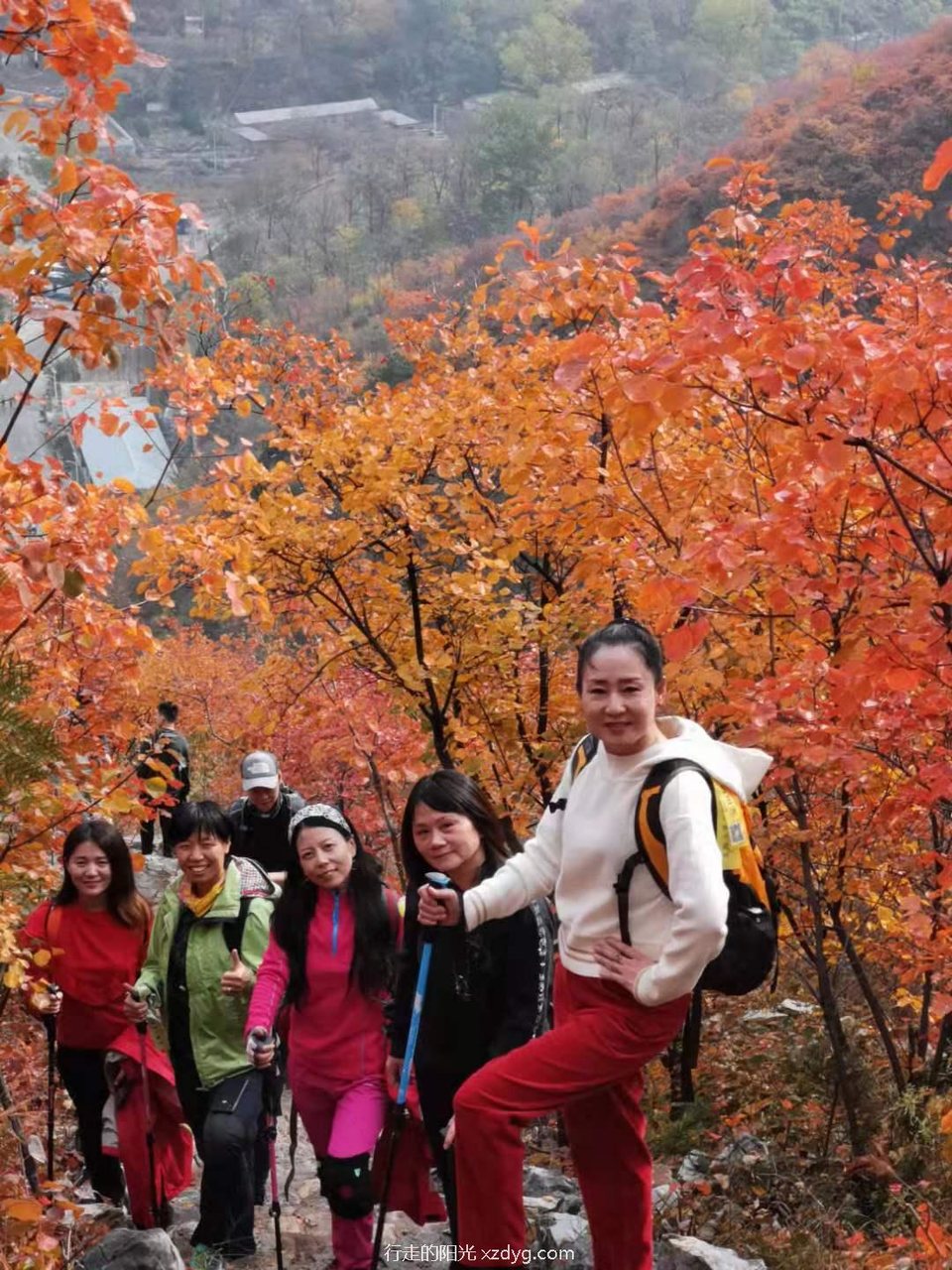 mmexport1572847490074