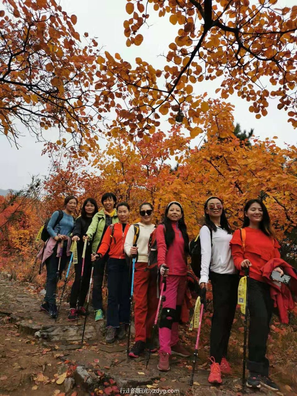 mmexport1572847502118