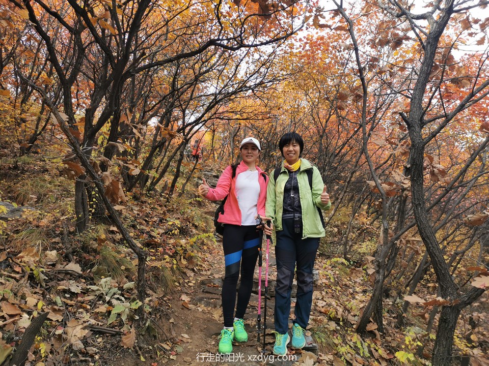 mmexport1572847522178