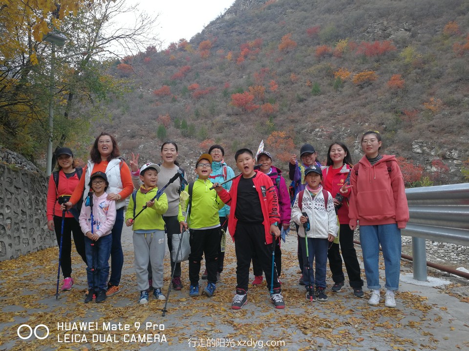 mmexport1572847541883