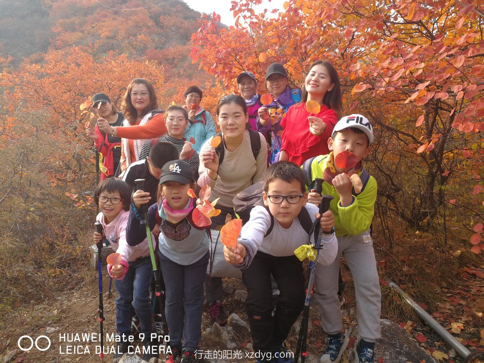 mmexport1572847552439