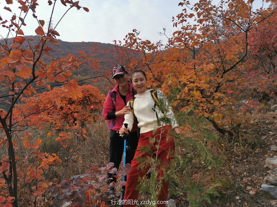 mmexport1572847619475