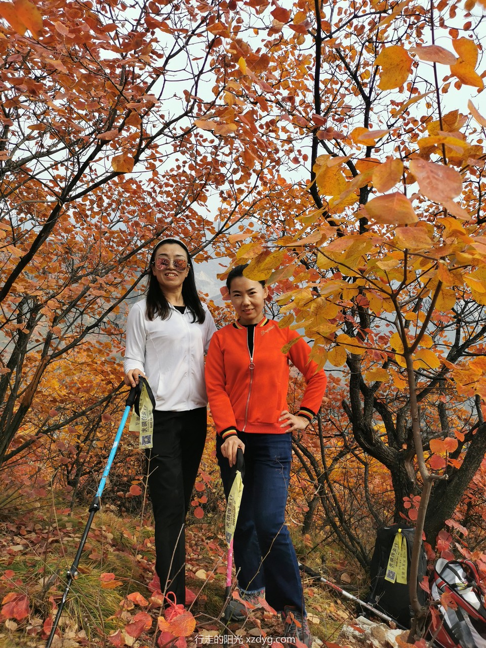 mmexport1572847642277