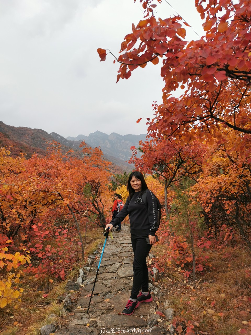 mmexport1572847669932