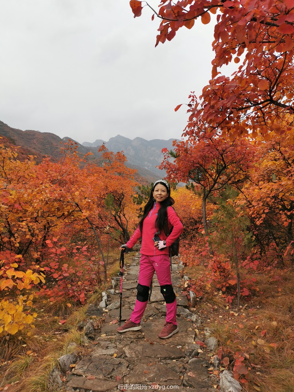 mmexport1572847684068