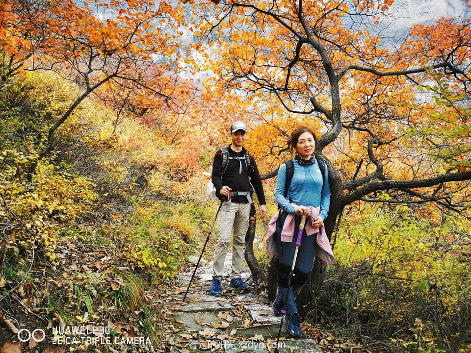 mmexport1572847979198