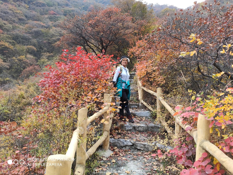 mmexport1572848073186