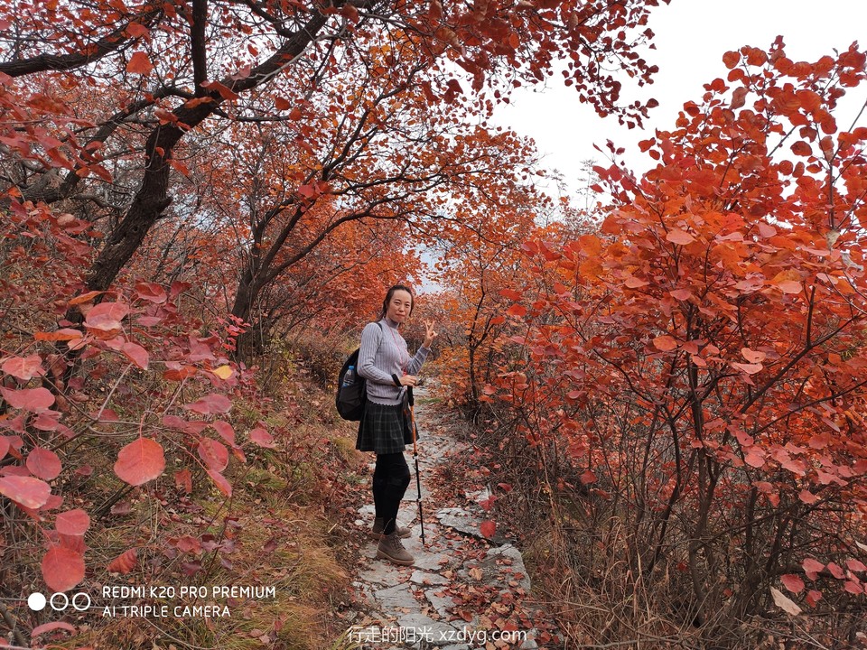 mmexport1572848136826