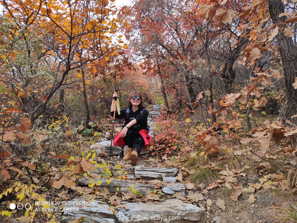 mmexport1572848186005