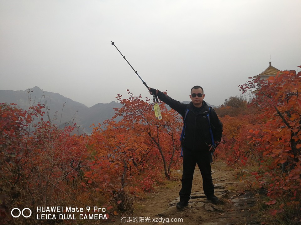 mmexport1572848253479