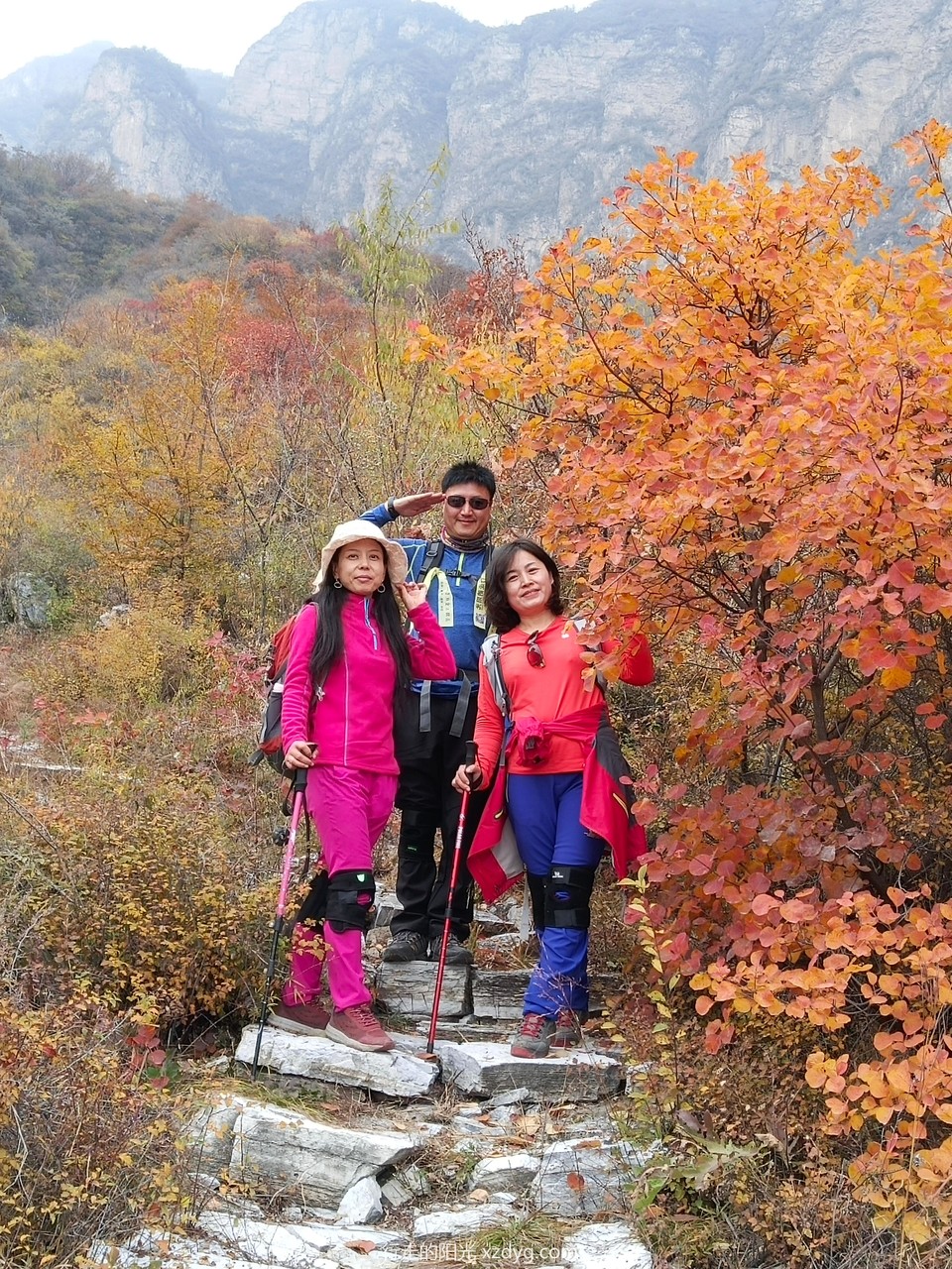 mmexport1572848369164