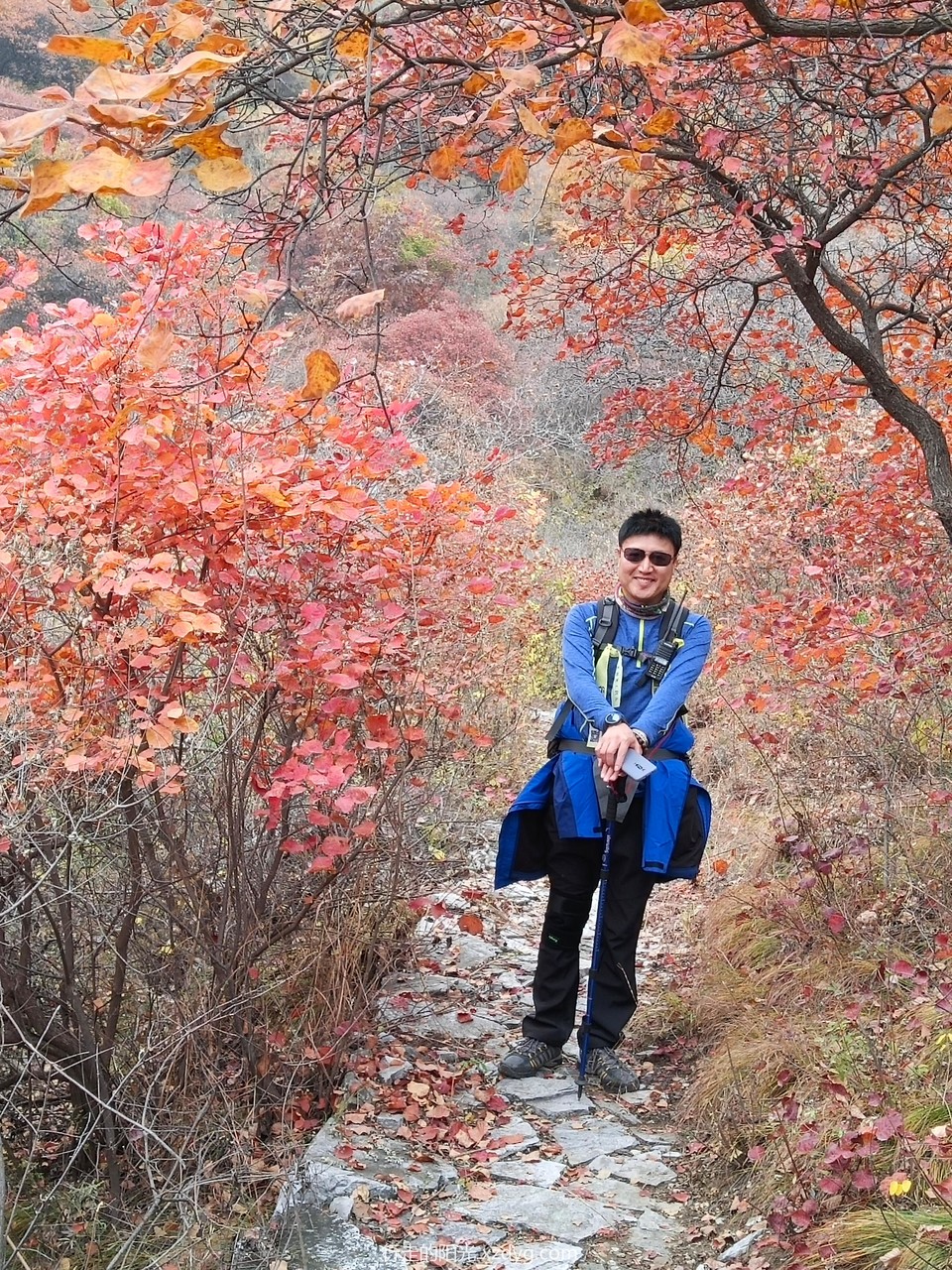 mmexport1572848425853