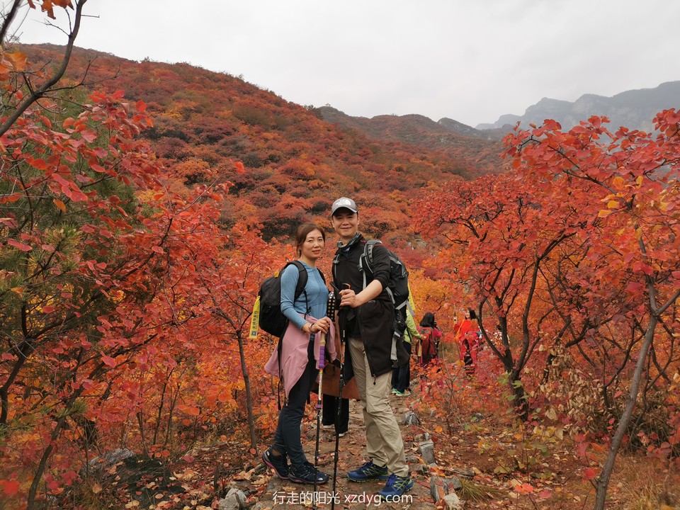 mmexport1572848553662