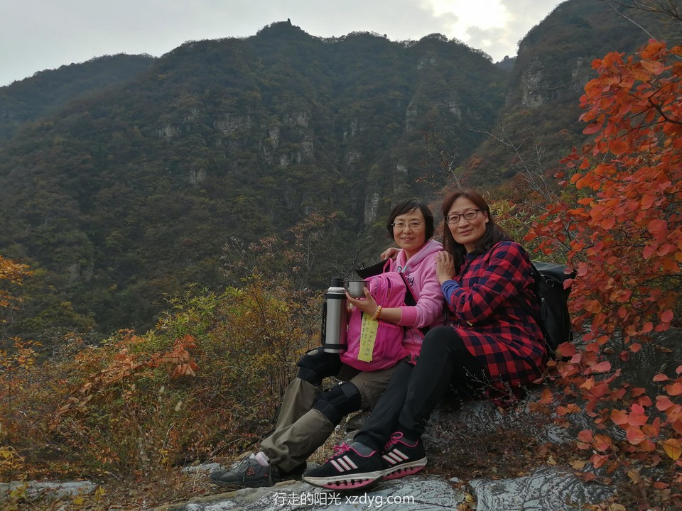 mmexport1572848598761